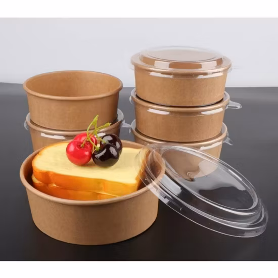 FDA/EU Feee Sample Round/Rectangle/Square Food Box Biodegradable Salad Paper Bowl