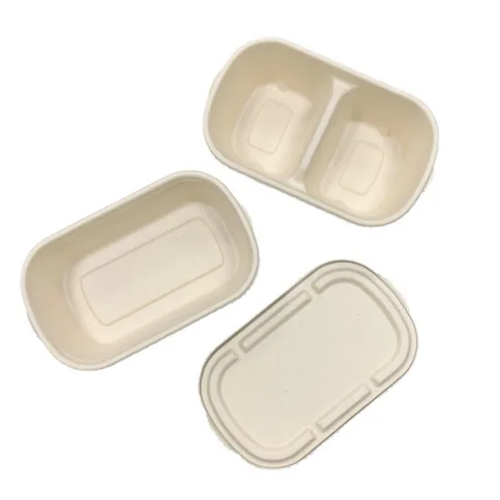 500ml Disposable Fast Food Box Sugarcane Light Salad Pulp Lunch Box with PP Lid 